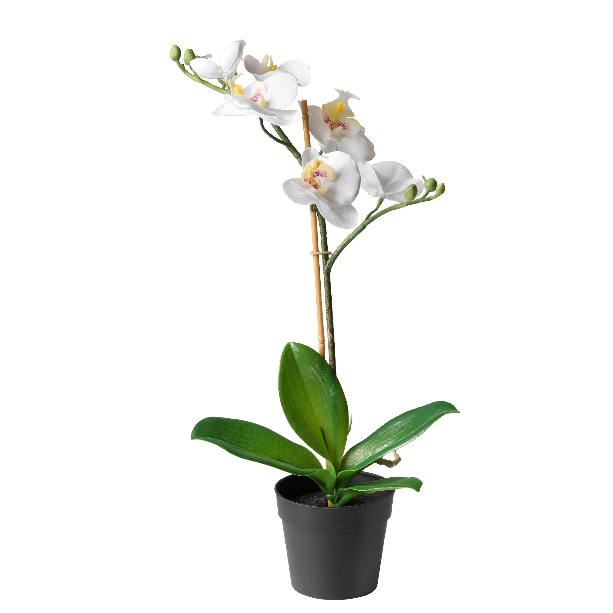Орхидея в горшке нижний новгород. Искусственная Орхидея икеа. Фаленопсис икеа.