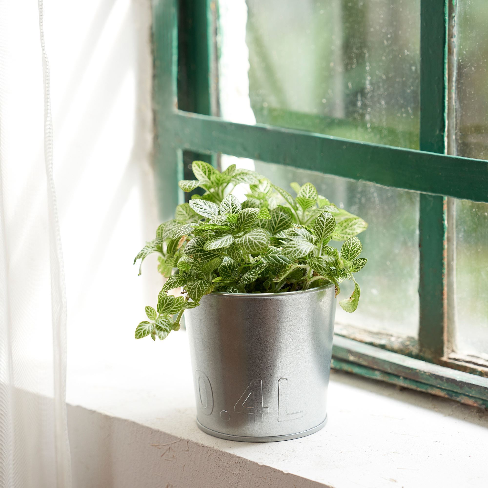 AKERBAR galvanised 9 cm plant pot IKEA