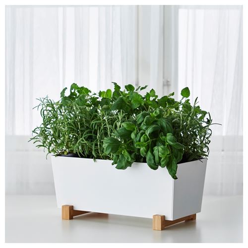 BITTERGURKA, plant pot, white, 32x15 cm