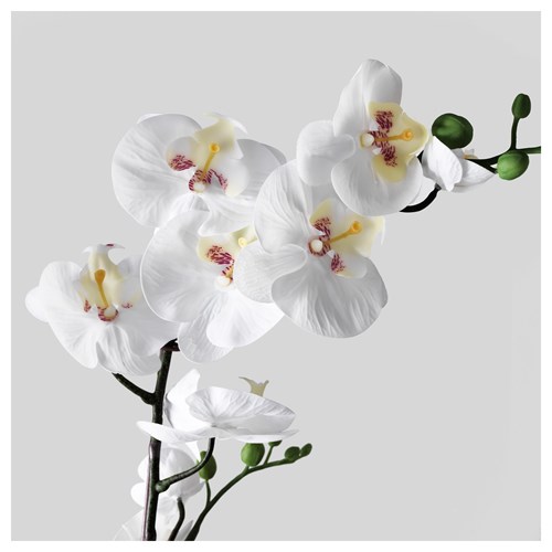 FEJKA, yapay bitki, orkide-beyaz, 12 cm