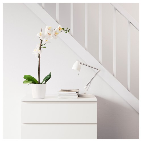 FEJKA, artificial plant, orchid/white, 12 cm