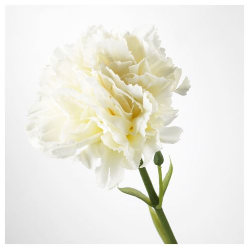 SMYCKA, yapay çiçek, karanfil-beyaz, 30 cm