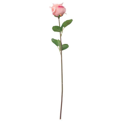Pembe çiçek - sitenin en iyi dekorasyonu Pembe çiçek - sitenin en iyi dekorasyonu