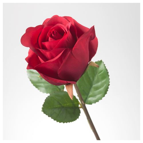 SMYCKA, yapay çiçek, gül-kırmızı, 52 cm