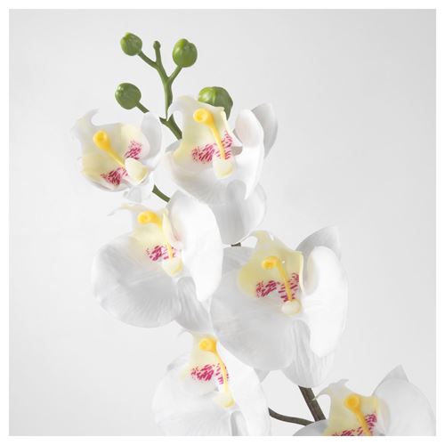 SMYCKA, artificial flower, orchid/white, 60 cm