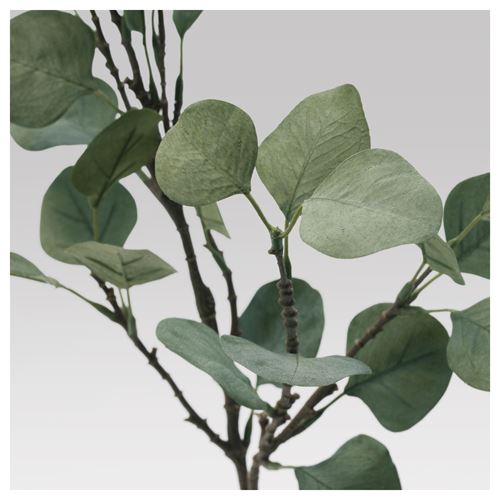 SMYCKA, artificial flower, eucalyptus/green, 65 cm