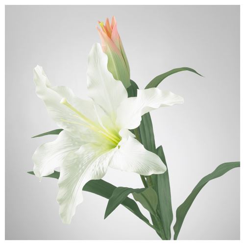 SMYCKA, yapay çiçek, zambak-beyaz, 85 cm