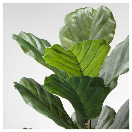 FEJKA, artificial plant, fiddle-leaf fig, 19 cm