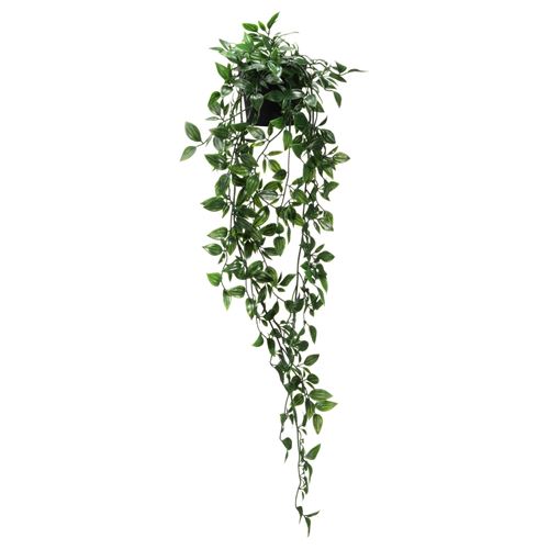 FEJKA, artificial plant, ivy, 9 cm