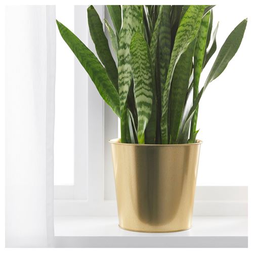 DAIDAI, plant pot, brass colour, 19 cm