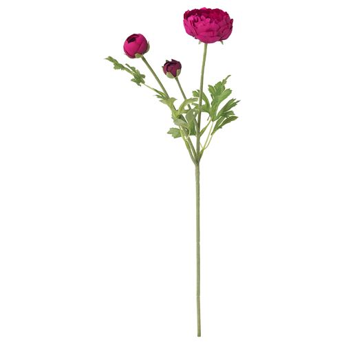 Pembe çiçek - sitenin en iyi dekorasyonu Pembe çiçek - sitenin en iyi dekorasyonu
