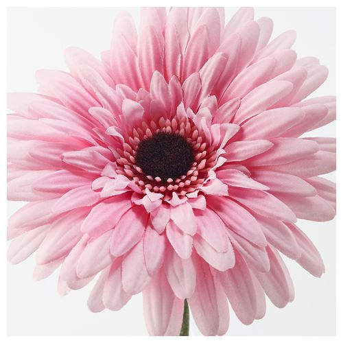 SMYCKA, artificial flower, gerbera pink, 50 cm