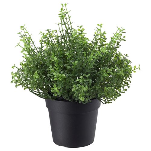 FEJKA,artificial plant