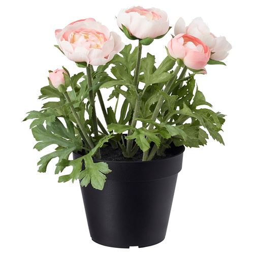 FEJKA, yapay bitki, düğün çiçeği-pembe, 12 cm