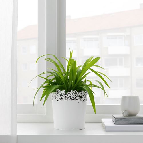 SAMVERKA, plant pot, white, 12 cm