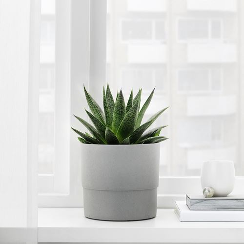 NYPON, plant pot, grey, 15 cm