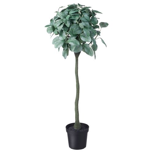 FEJKA yapay bitki okaliptüs 15 cm | IKEA Ev Dekorasyonu