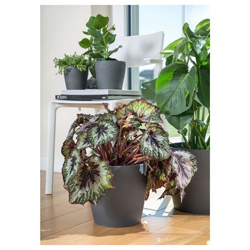 PERSILLADE, plant pot, dark grey, 12 cm