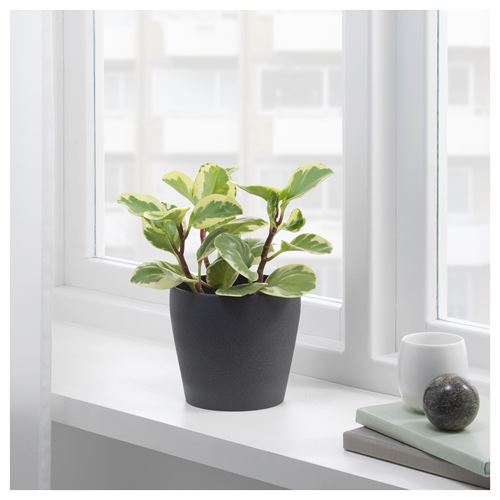PERSILLADE, plant pot, dark grey, 12 cm