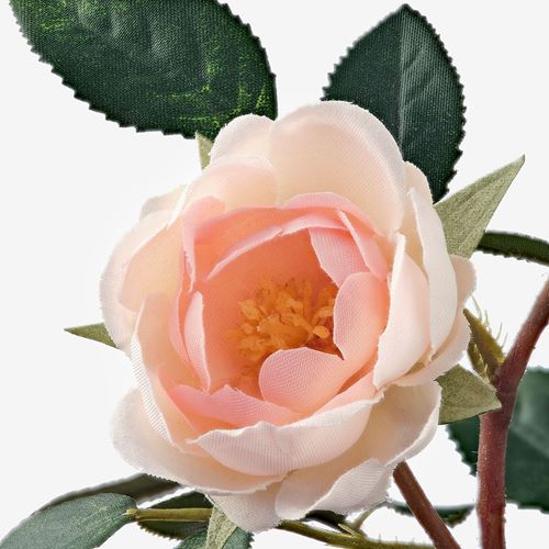 FEJKA, artificial plant, rose/pink, 9 cm