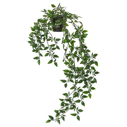 FEJKA, artificial plant, ivy, 9 cm