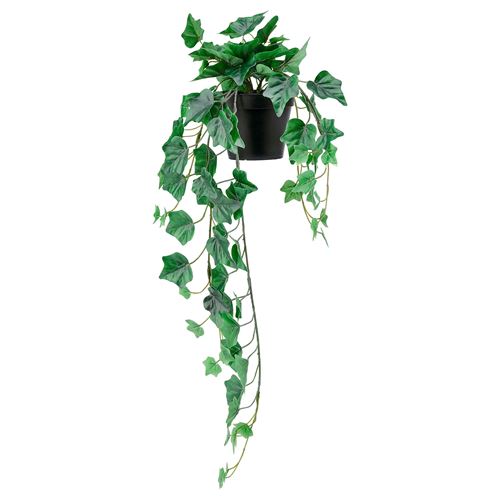FEJKA, yapay bitki, asılabilir sarmaşık, 12 cm