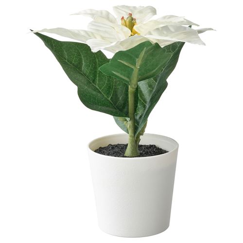 FEJKA, saksılı yapay bitki, beyaz, 6 cm