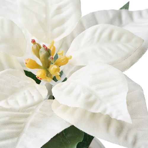 FEJKA, saksılı yapay bitki, beyaz, 6 cm
