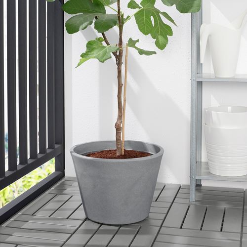 CITRUSKRYDDA, plant pot, grey, 35 cm