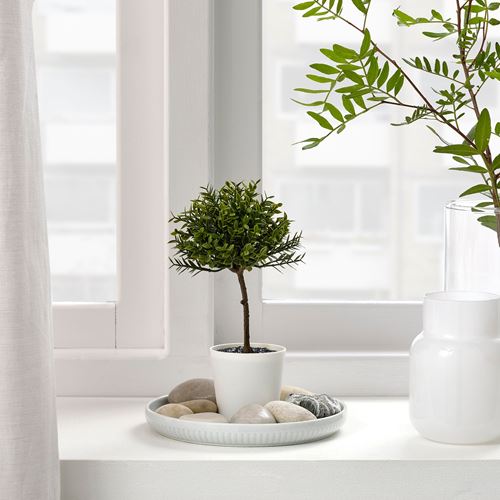 FEJKA, saksılı yapay bitki, mersin ağacı, 6 cm