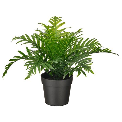 FEJKA, artificial plant, polypodıum, 9 cm