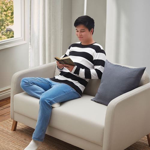 LINANAS vissle beige 2seat sofa IKEA