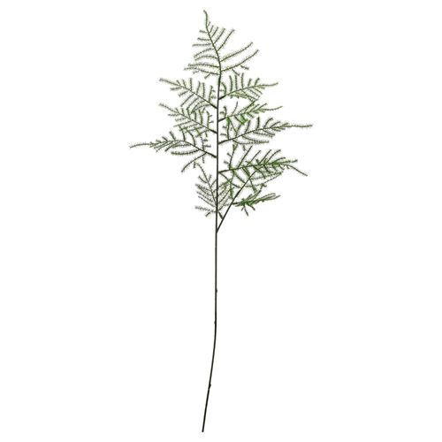 SMYCKA, artificial flower, asparagus, 55 cm