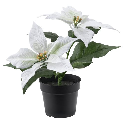 FEJKA, yapay bitki, Atatürk çiçeği-beyaz, 9 cm