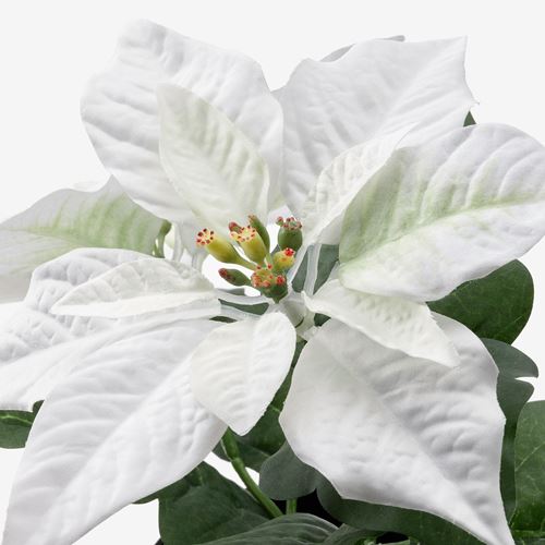 FEJKA, yapay bitki, Atatürk çiçeği-beyaz, 9 cm