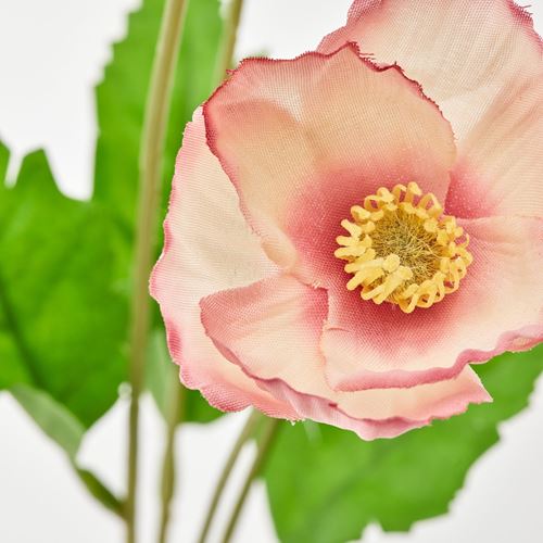 SMYCKA, artificial flower, poppy orange/pink, 60 cm