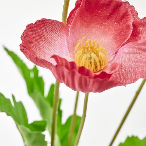 SMYCKA, artificial flower, poppy/red, 60 cm