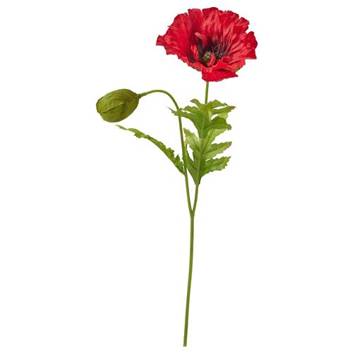 ANLEDNING, yapay çiçek, gelincik-kırmızı, 40 cm