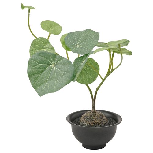  FEJKA saksılı yapay bitki, stephania