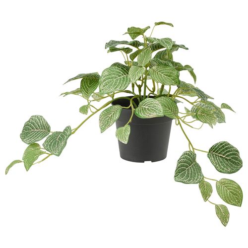 FEJKA, yapay bitki, fittonya, 9 cm