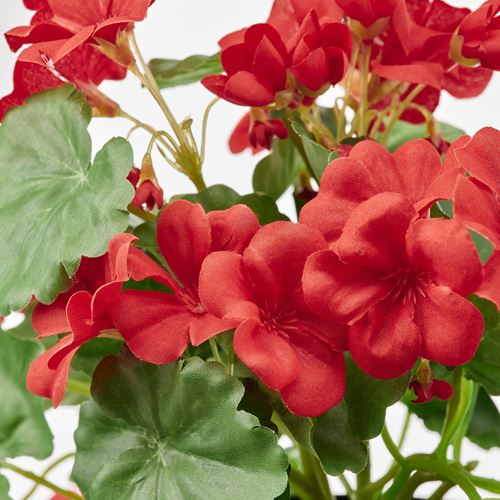 FEJKA, yapay bitki, tır çiçeği-kırmızı, 12 cm