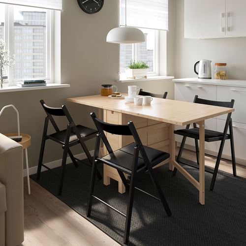 NORDEN/TERJE, mutfak masası takımı, huş-siyah, 4 sandalyeli