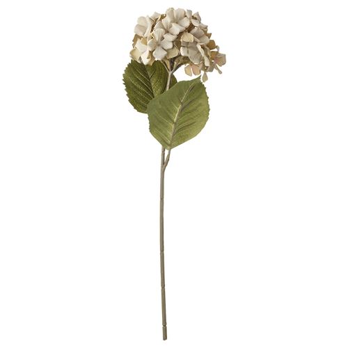 SMYCKA, yapay çiçek, ortanca-açık gri, 60 cm