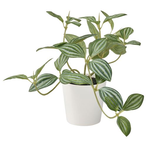 FEJKA, saksılı yapay bitki, peperomia, 6 cm