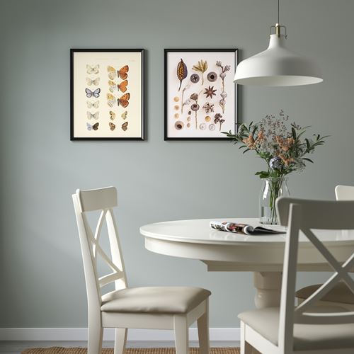 BILD,poster