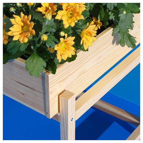 PRIMÄRSKOG,plant stand