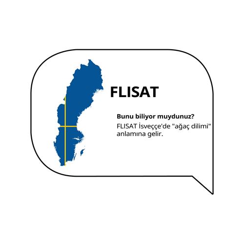 FLISAT,çocuk masası