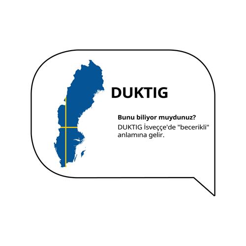 DUKTIG,plate set toy