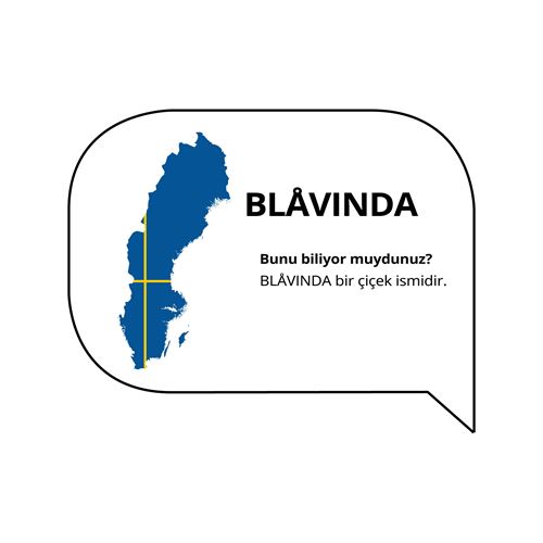 BLÅVINDA,çift kişilik nevresim seti
